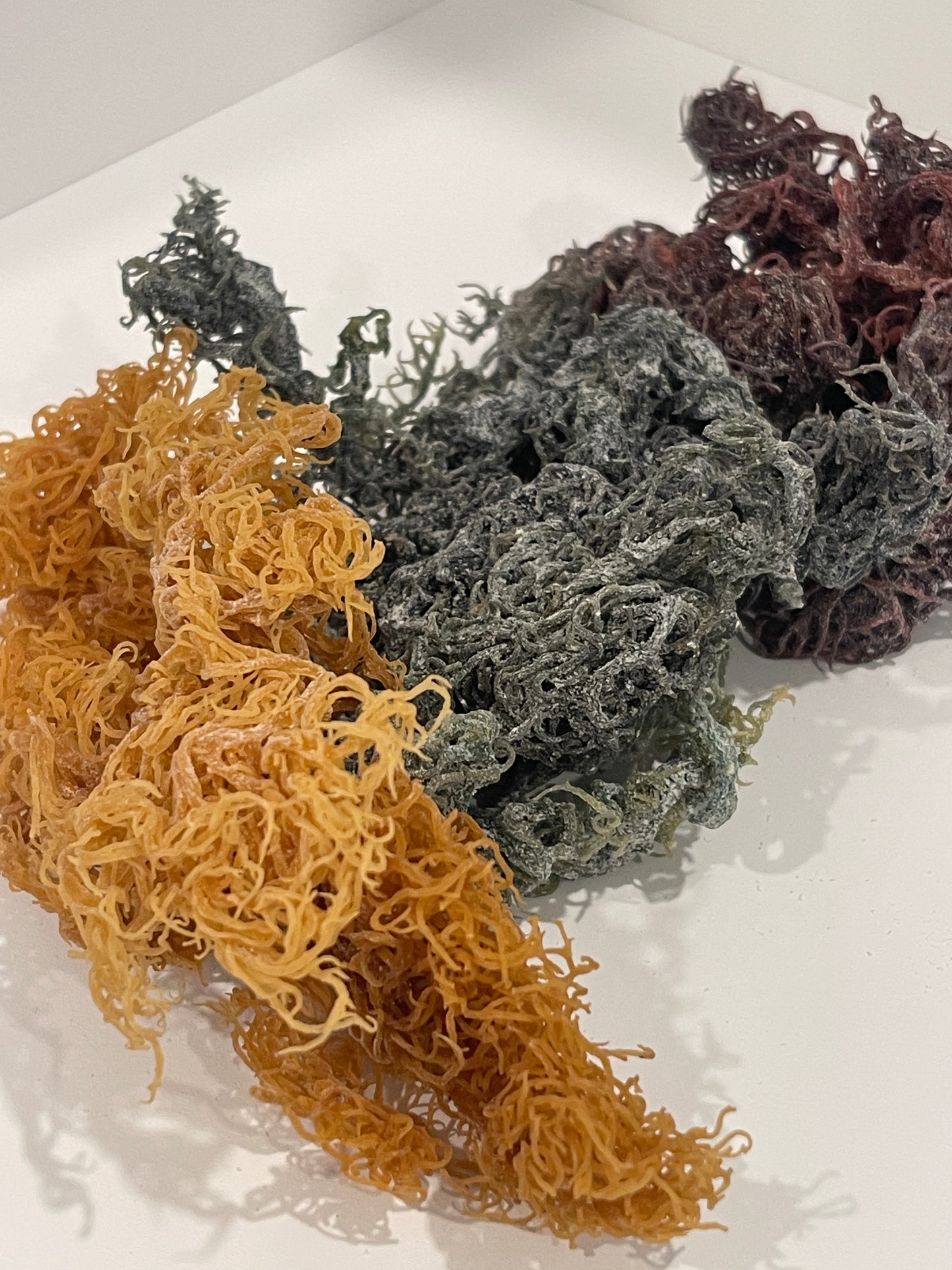 Gold Sea Moss